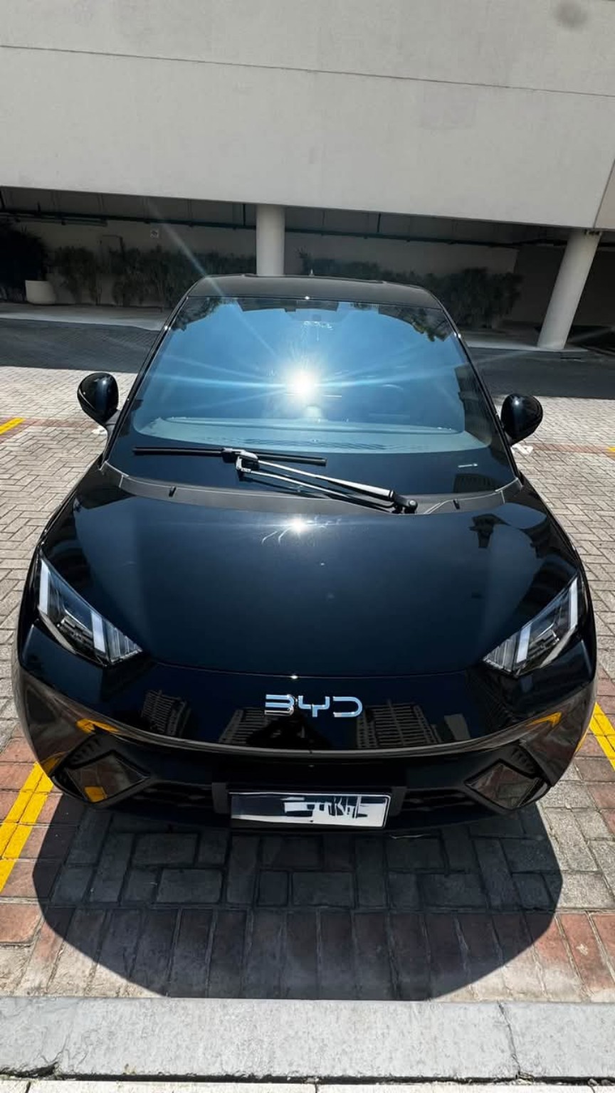 BYD Dolphin Mini GS 2027